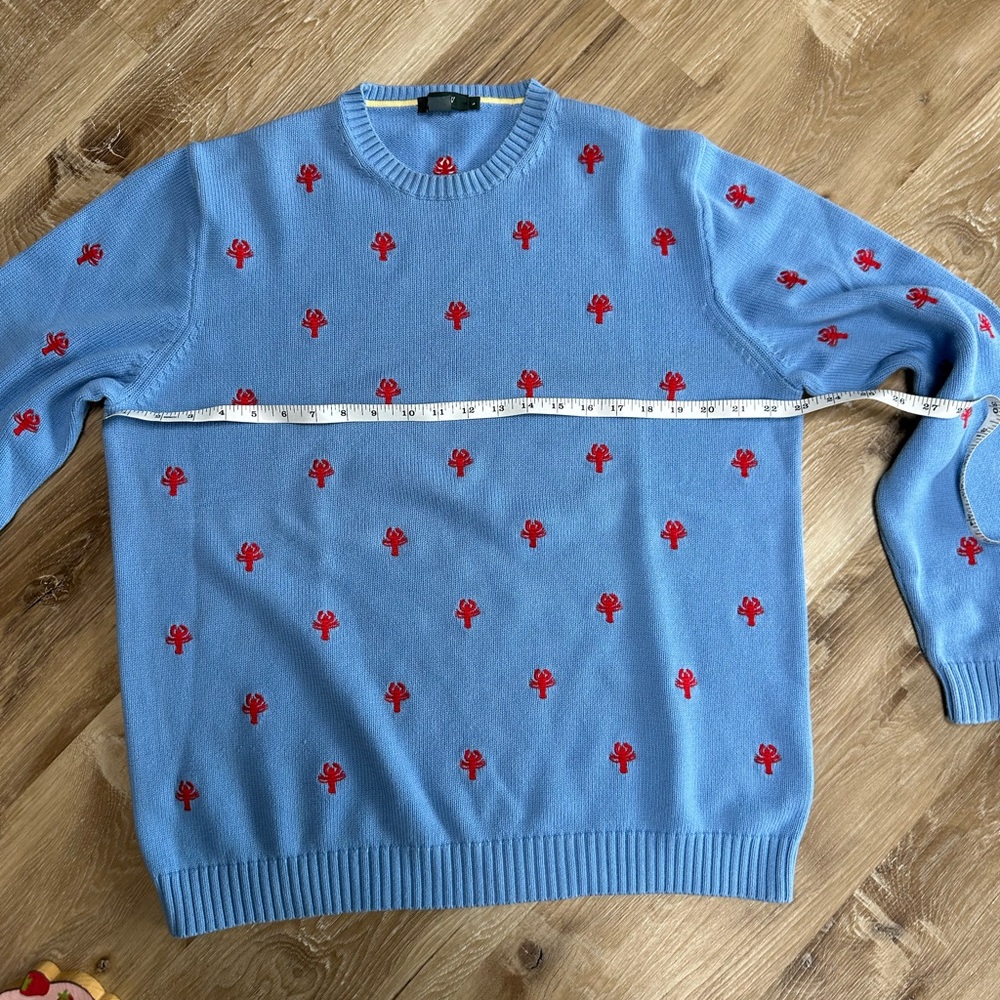 J. Crew Light Blue Crewneck Sweater with Red Embroidered Lobster 🦞 - Picture 5 of 8
